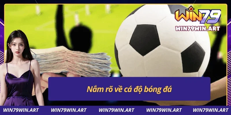 Thông tin cụ thể về cá độ bóng đá